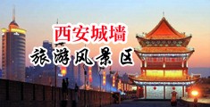 男人插女人小穴高清观看中国陕西-西安城墙旅游风景区